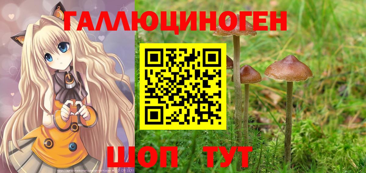 Благовещенск  купить закладку  Вход с VPN  Псилоцибиновые грибы мухоморы 