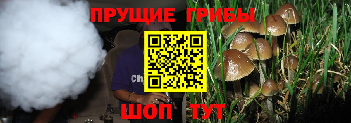 Псилоцибиновые грибы GOLDEN TEACHER Благовещенск